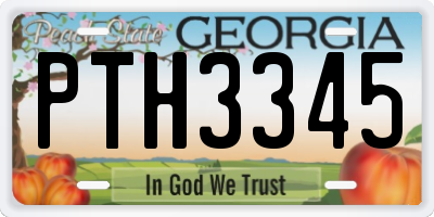 GA license plate PTH3345