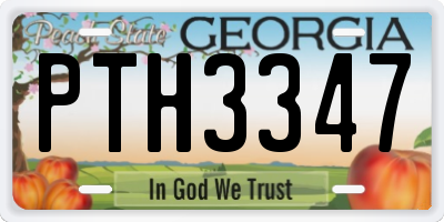 GA license plate PTH3347