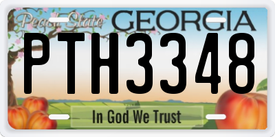 GA license plate PTH3348