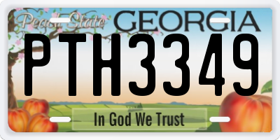 GA license plate PTH3349