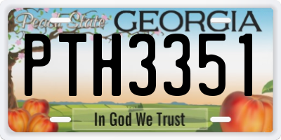 GA license plate PTH3351