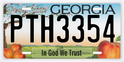 GA license plate PTH3354
