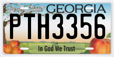 GA license plate PTH3356