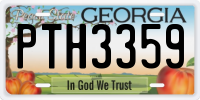 GA license plate PTH3359
