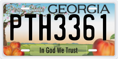 GA license plate PTH3361
