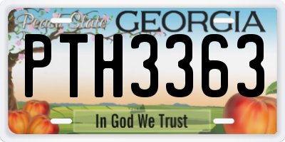 GA license plate PTH3363