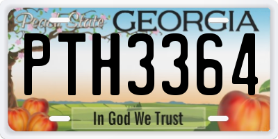 GA license plate PTH3364