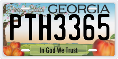 GA license plate PTH3365