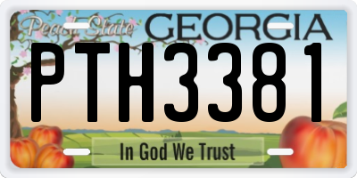 GA license plate PTH3381