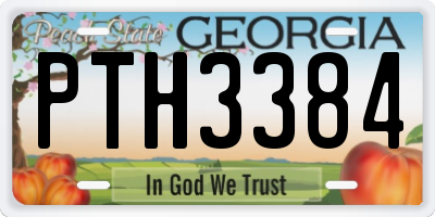 GA license plate PTH3384