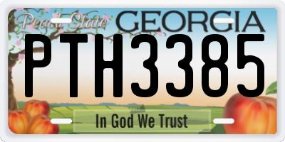 GA license plate PTH3385