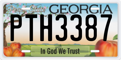 GA license plate PTH3387