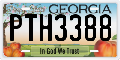 GA license plate PTH3388