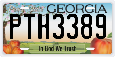 GA license plate PTH3389