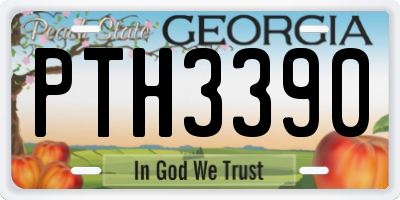 GA license plate PTH3390