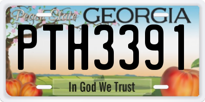 GA license plate PTH3391