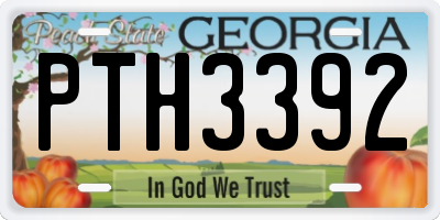 GA license plate PTH3392