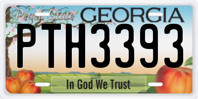 GA license plate PTH3393