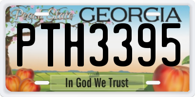 GA license plate PTH3395