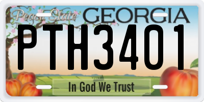 GA license plate PTH3401