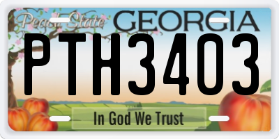GA license plate PTH3403