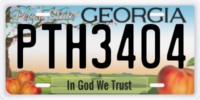 GA license plate PTH3404
