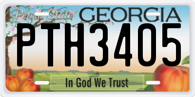 GA license plate PTH3405