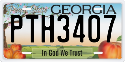 GA license plate PTH3407