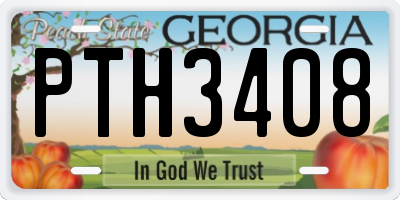 GA license plate PTH3408