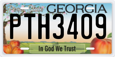 GA license plate PTH3409