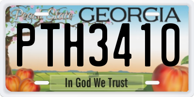 GA license plate PTH3410