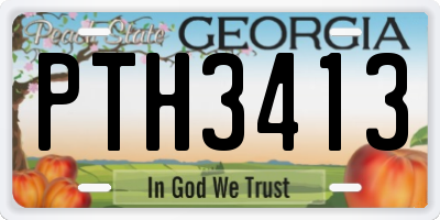 GA license plate PTH3413