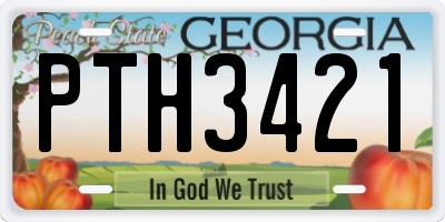 GA license plate PTH3421