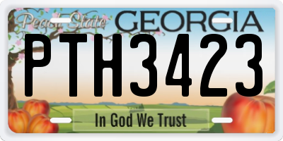 GA license plate PTH3423