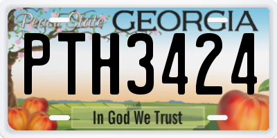 GA license plate PTH3424