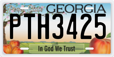 GA license plate PTH3425