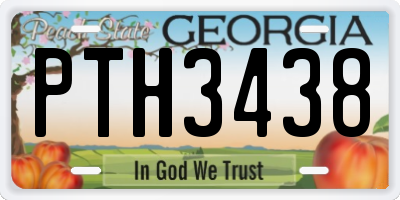 GA license plate PTH3438