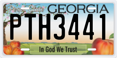 GA license plate PTH3441