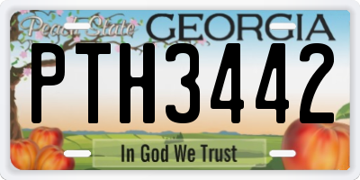 GA license plate PTH3442