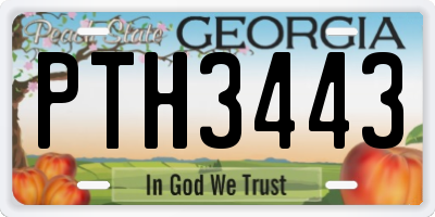 GA license plate PTH3443