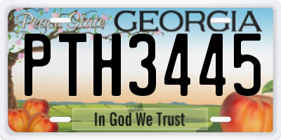 GA license plate PTH3445