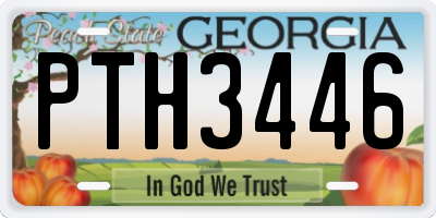 GA license plate PTH3446