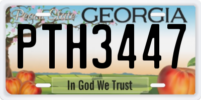 GA license plate PTH3447