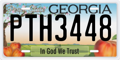 GA license plate PTH3448