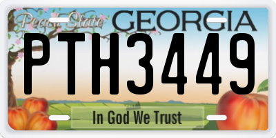 GA license plate PTH3449
