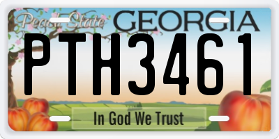 GA license plate PTH3461