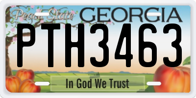 GA license plate PTH3463
