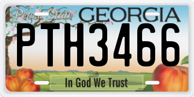 GA license plate PTH3466