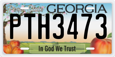 GA license plate PTH3473