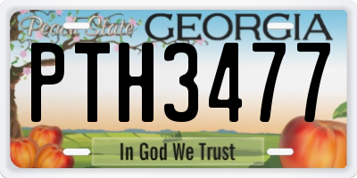 GA license plate PTH3477